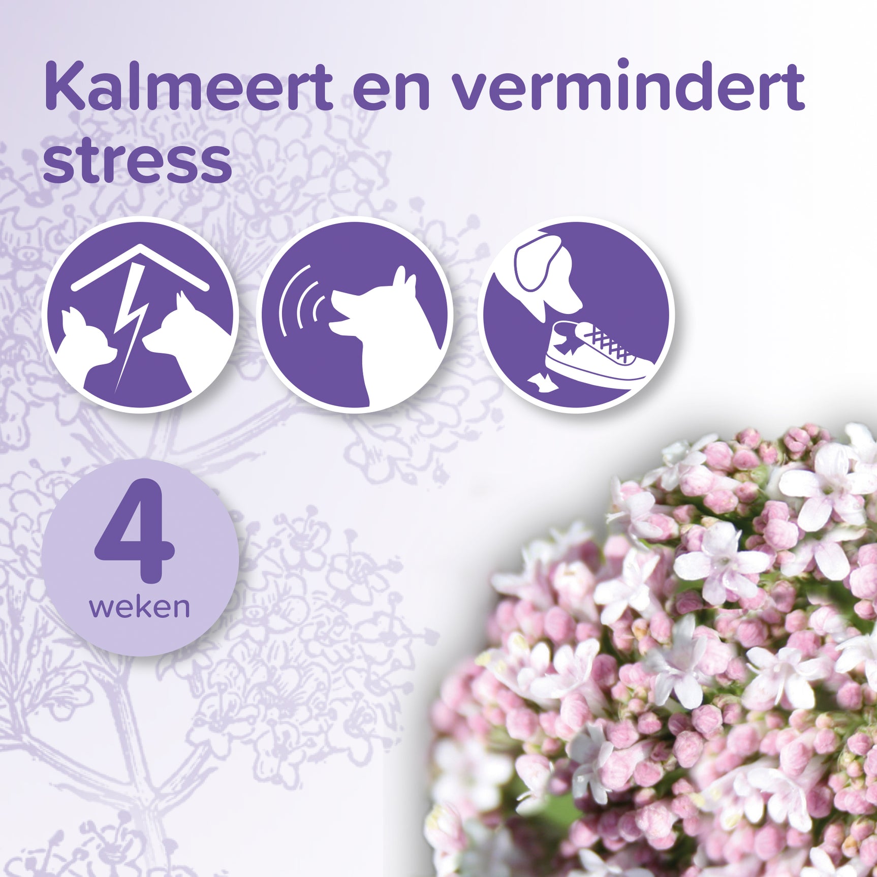 beaphar No Stress navulling: paarse stress-iconen en tekst '4 weken'