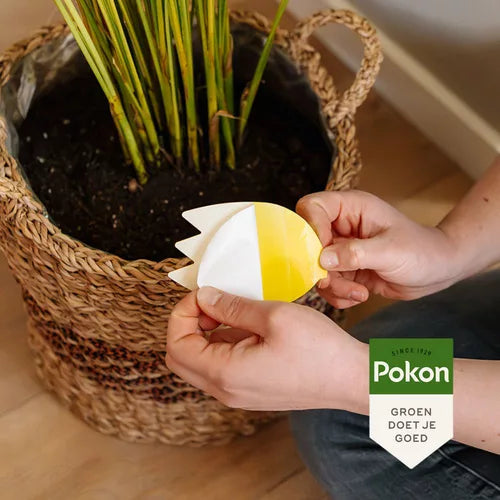 Pokon - Bio Vangplaatjes Tegen Potgrondvliegjes 15st