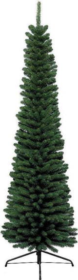 Pencil pine - h150 cm - dia 45 cm - extra smal - groen