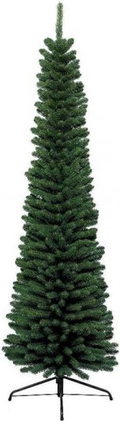 Everlands - Pencil Pine - 120 cm