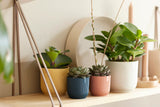 Elho - vibes fold rond mini 9cm delicate pink