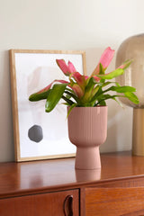 Elho - vibes fold coupe 14cm delicate pink