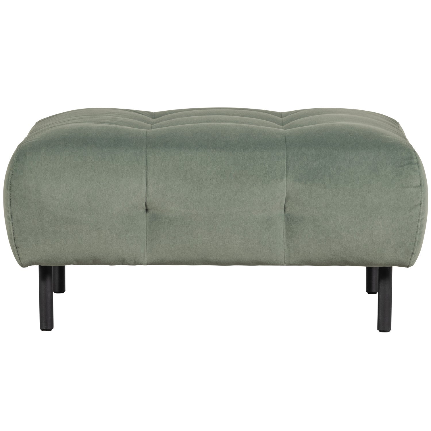 LLOYD HOCKER VELVET WATERPLANT