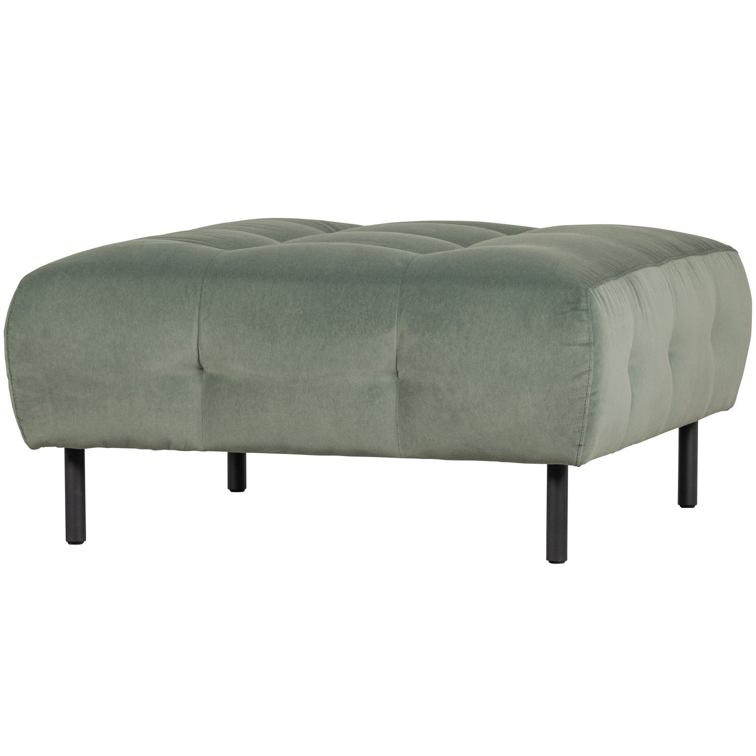 LLOYD HOCKER VELVET WATERPLANT