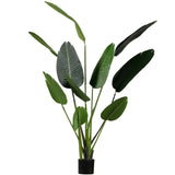 WOOOD - Stralitzia kunstplant groen 164cm