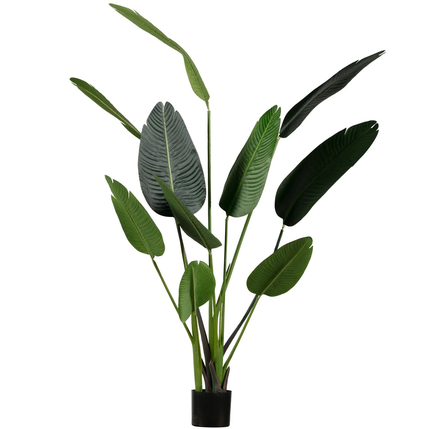 WOOOD - Stralitzia kunstplant groen 164cm
