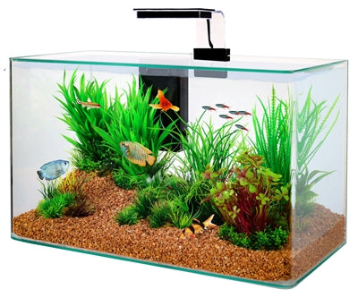 Aquaria