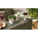 Planter terracotta 3assorti