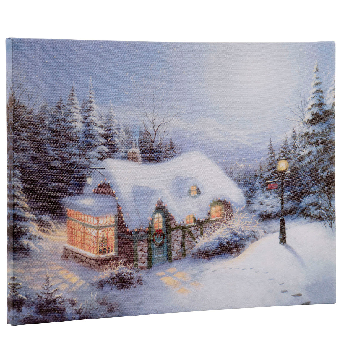 LED canvas pvc steady BO binnen 2assorti