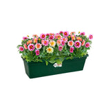 Elho - Green Basics Balkonbak 40 Groen