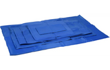 Flamingo - Koelmat Frosty Rechthoekig Blauw S | A:50cm B:40cm C:0,5cm