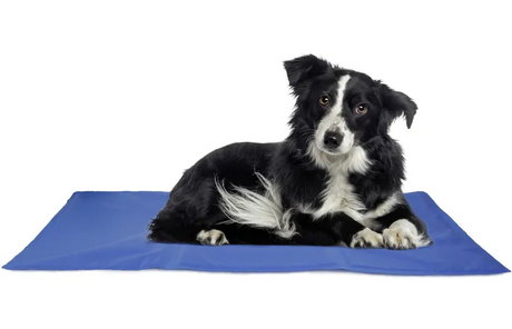 Flamingo - Koelmat Frosty Rechthoekig Blauw L | A:90cm B:50cm C:0,5cm