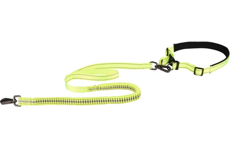 Flamingo Diran - Jogginglijn Met Heupriem Honden - Jogginglijn + Heupriem Diran M Lijn 118cm / Riem 76-100cm - 1st - 126931 - 1st