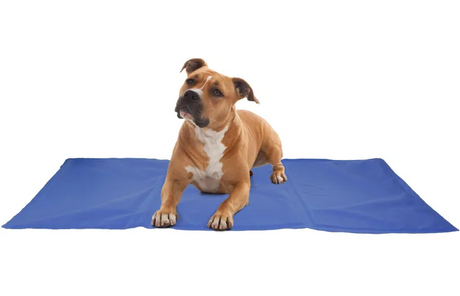 Flamingo - Koelmat Frosty Rechthoekig Blauw | XXL | A:120cm B:80cm C:0,5cm