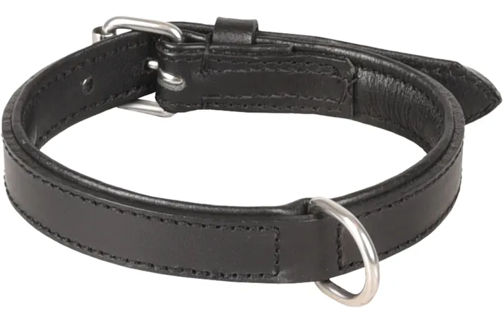 Gevoerde halsband van zwart leer met metalen ring en verstelband