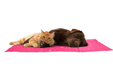 Flamingo - Koelmat Drop Rechthoekig Fuchsia L | A:90cm B:50cm C:0,6cm