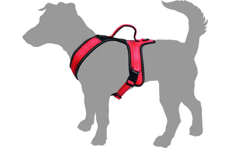 Flamingo - Harnas Toga Rood XS | A:39cm B:47-57cm