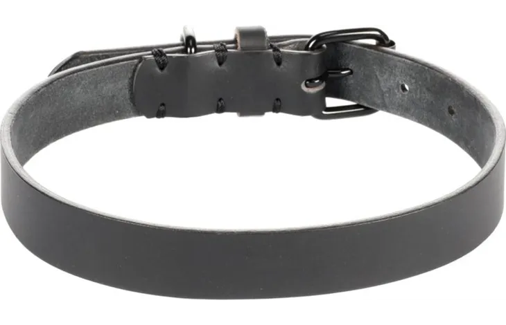 Zwarte leren halsband met gaatjes, gespsluiting en metalen ring