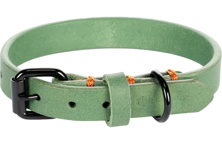Groene halsband met zwart gespsluiting en oranje stiksels, verstelbaar met gaatjes.