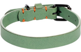Flamingo halsband Leano groen, zwarte sluiting en verstelgaten, oranje details op band
