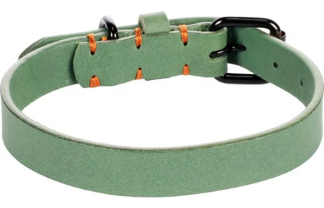 Flamingo halsband Leano groen, zwarte sluiting en verstelgaten, oranje details op band