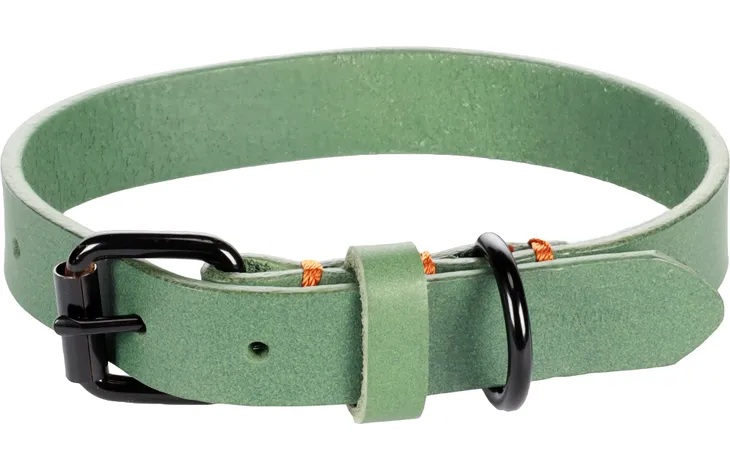 Flamingo halsband Leano groen met zwarte gesp en D-ring, oranje stiknaden