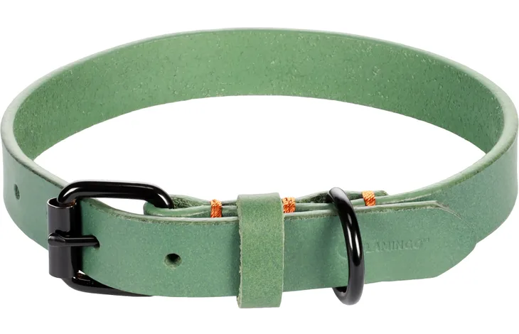 Groene halsband met gesp en ringen, verstelbare band in 36–44 cm