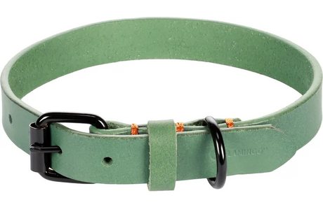 Groene halsband met gesp en ringen, verstelbare band in 36–44 cm