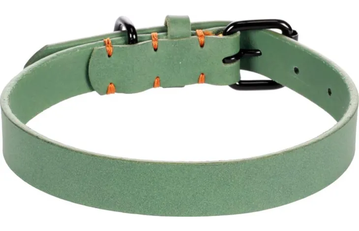 Flamingo halsband Leano groen met zwarte sluitgesp, oranje studs en O-ringen