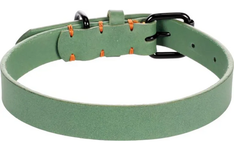 Flamingo halsband Leano groen met zwarte sluitgesp, oranje studs en O-ringen