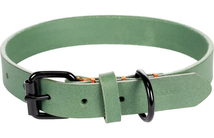 Flamingo halsband Leano groen met zwarte gesp, D-ring en verstelgaten