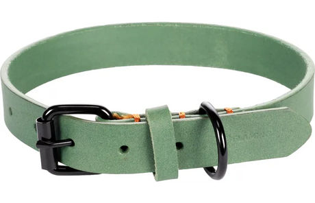 Flamingo halsband Leano groen met zwarte gesp, D-ring en verstelgaten