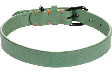 Flamingo groene halsband met verstelbaar gesp en rijen met kleine decoratie