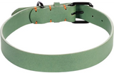 Groene halsband met verstelgesp, gaatjes en oranje accentjes op de band