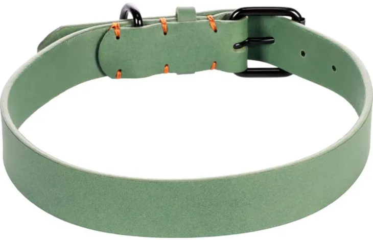 Groene halsband met verstelgesp, gaatjes en oranje accentjes op de band