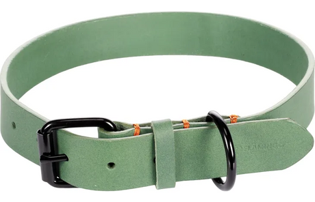 Groene halsband met verstelgesp, D-ringen en oranje details aan de band