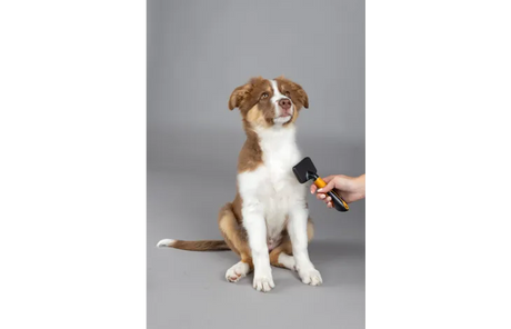 Flamingo - Universele borstel puppy