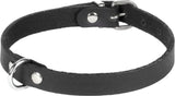 Halsband van zwart leer met metalen ringen en gesp