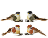 Vogel veer op clip 4assorti