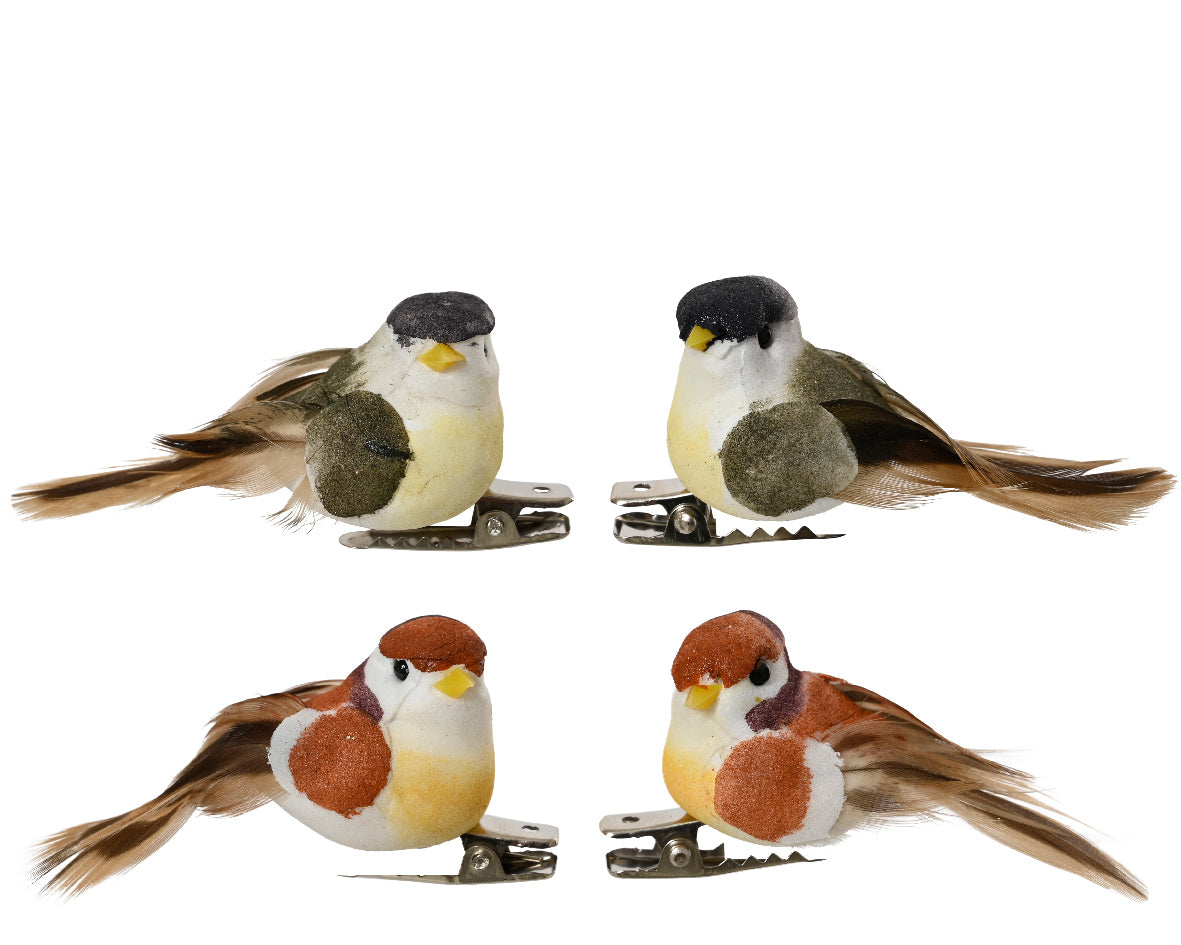 Vogel veer op clip 4assorti