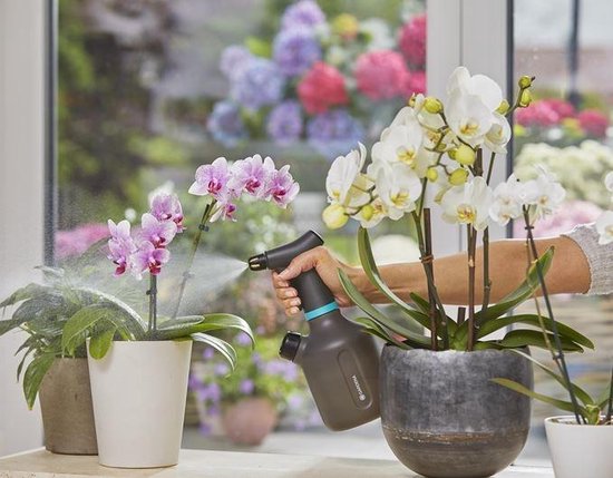 Gardena plantenspuit die water spuit, zwarte fles met blauwe band bij bloemen