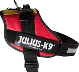 Julius K9 IDC Powertuig/Harnas - Maat Mini - S - BELGISCHE VLAG KLEUR