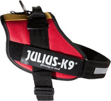 Julius K9 IDC Powertuig/Harnas - Maat Mini Mini - XS - BELGISCHE VLAG KLEUR