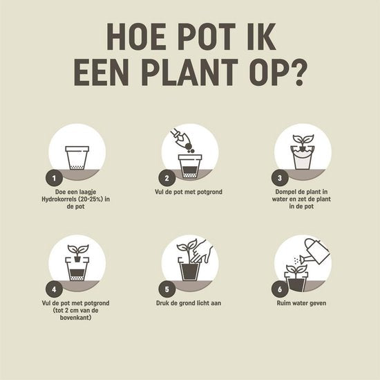Instructiekaart met stappen voor het potten van een plant