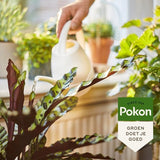 Pokon label bij kamerplant met tekst 'Groen doet je goed'