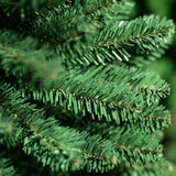 Pencil pine - h150 cm - dia 45 cm - extra smal - groen