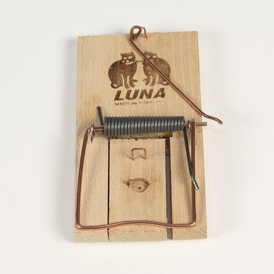 Rattenval Hout - Ongediertebestrijding - LUNA