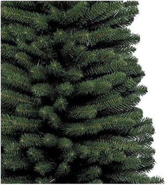 Pencil pine - h150 cm - dia 45 cm - extra smal - groen