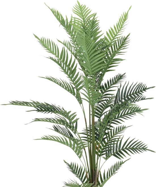 Plant varen 150cm