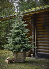 Everlands - Grandis Fir kunstkerstboom 210 cm